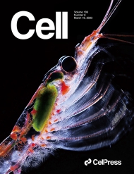 Cell – Immunity
