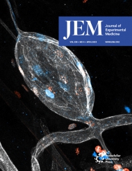 JEM
