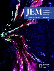 JEM