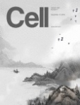 Cell