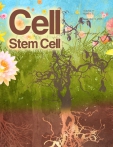 Cell - Stem Cell