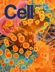 Cell
