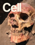 Cell