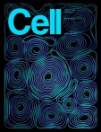 Cell