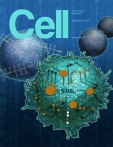 Cell