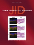 Journal of...