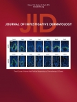 Journal of...
