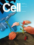 Cell