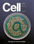 Cell