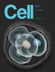 Cell