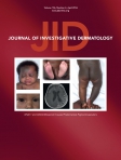 Journal of...