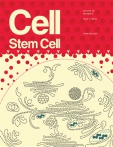 Cell - Stem Cell