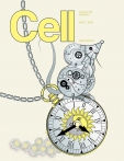 Cell
