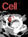Cell