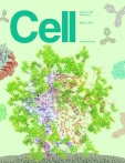 Cell