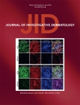 Journal of...