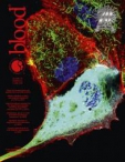 Blood