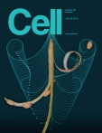 Cell