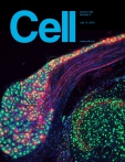 Cell