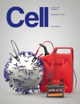 Cell