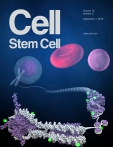 Cell - Stem Cell
