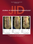 Journal of Investigative Dermatology