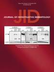 Journal of Investigative Dermatology