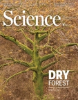 Science