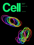 Cell