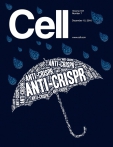 Cell