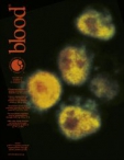 Blood