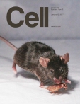 Cell