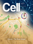 Cell