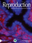 Reproduction