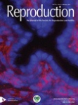 Reproduction