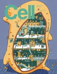 Cell