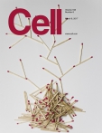 Cell