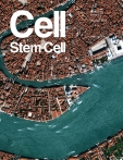 Cell - Stem Cell