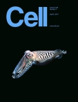 Cell