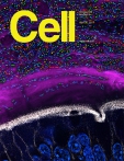 Cell