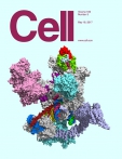 Cell