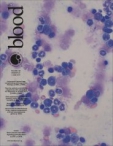 Blood