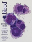 Blood