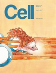Cell