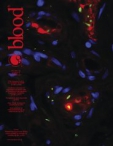 Blood