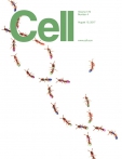 Cell