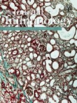 The Journal of Immunology