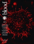 Blood