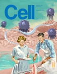 Cell