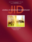 Journal of Investigative Dermatology